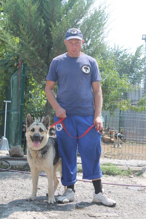 გერმანული ნაგაზი უსახელო