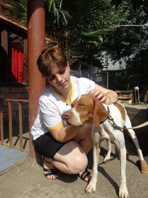 პოინტერი უსახელო