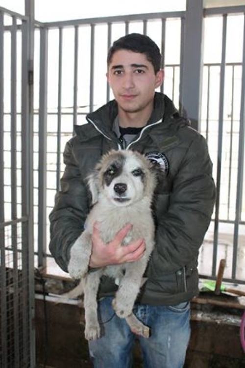 მეტისი უსახელო