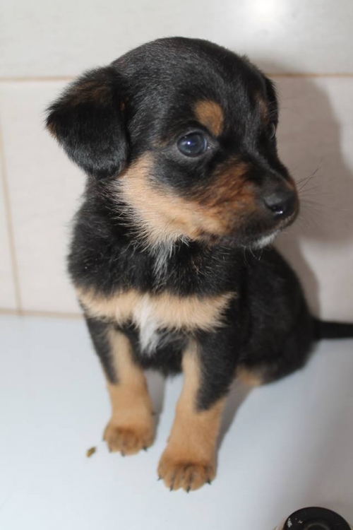 მეტისი უსახელო