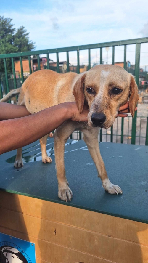 მეტისი სადგურის მოედანი