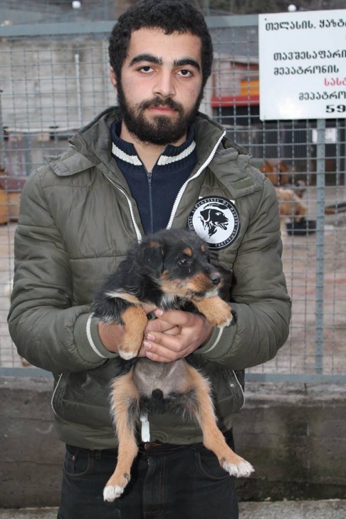 მეტისი უსახელო