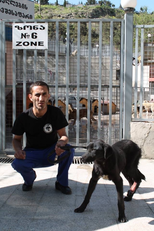 მეტისი უსახელო