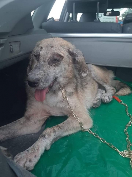 მეტისი ვარკეთილის მეურნეობა