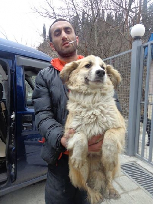 მეტისი უსახელო