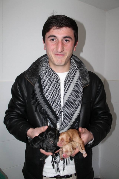 მეტისი უსახელო