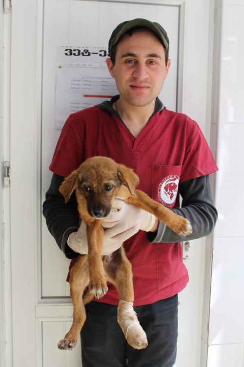 მეტისი უსახელო