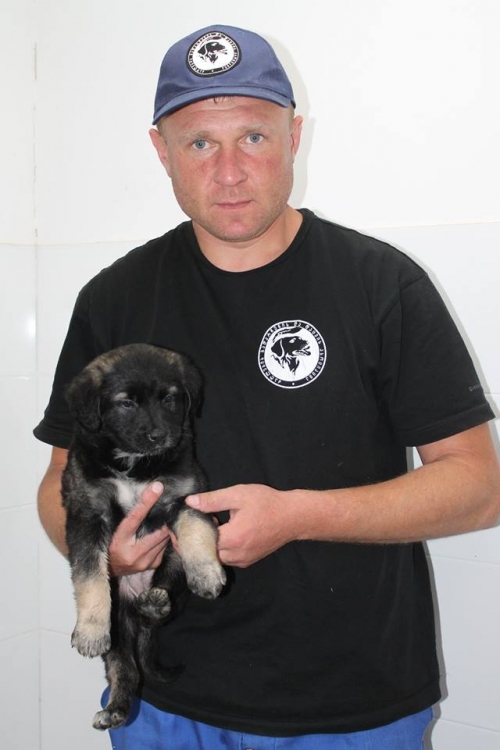 მეტისი უსახელო