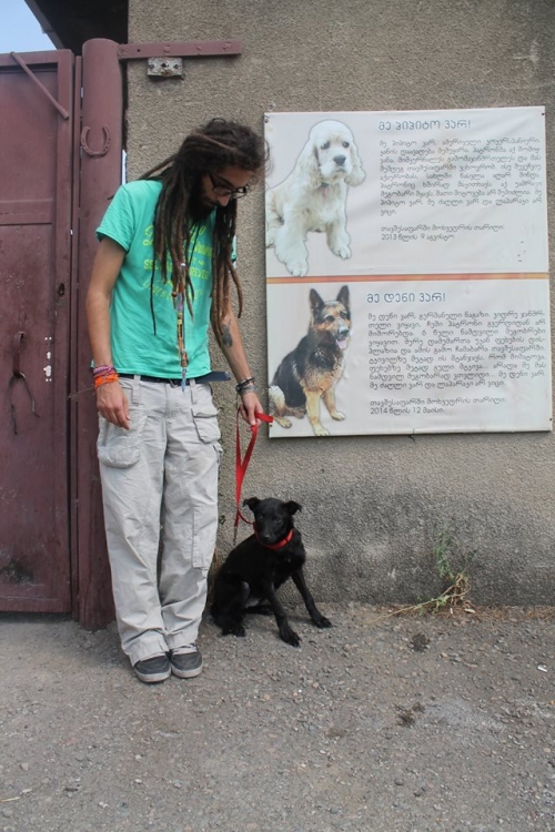 მეტისი უსახელო