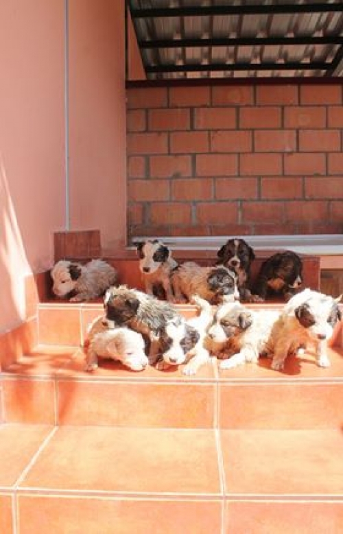 მეტისი უსახელო