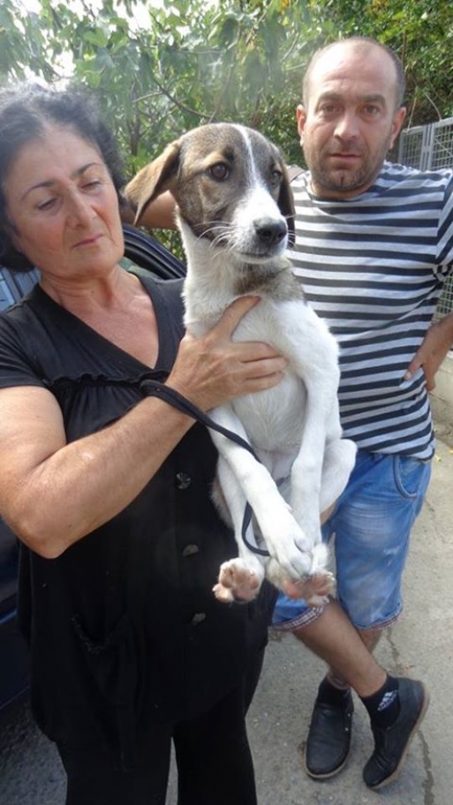 მეტისი უსახელო