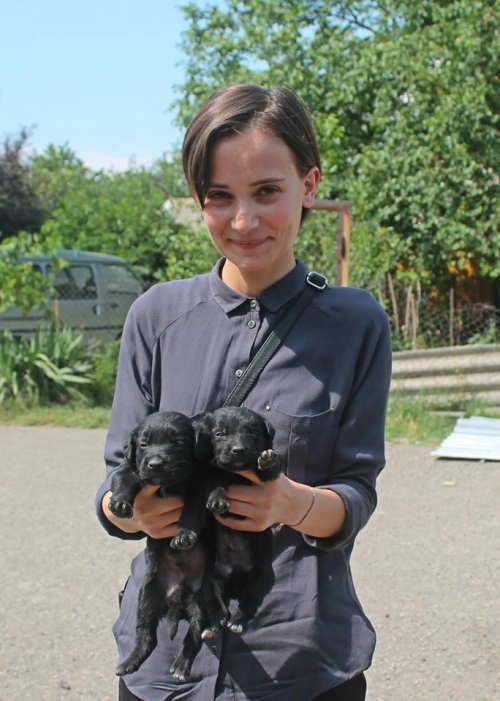 მეტისის ლეკვები უსახელო