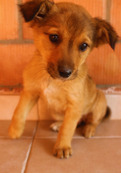 მეტისი უსახელო