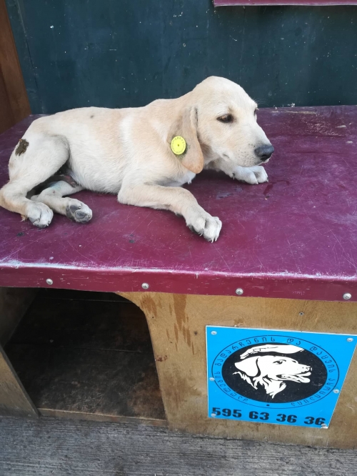 მეტისი ქაეროს მე 4 ქუჩა