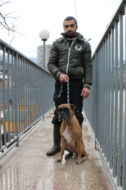 ბოქსიორი მარგო