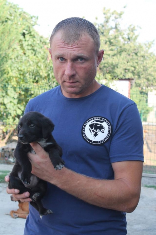 მეტისი უსახელო