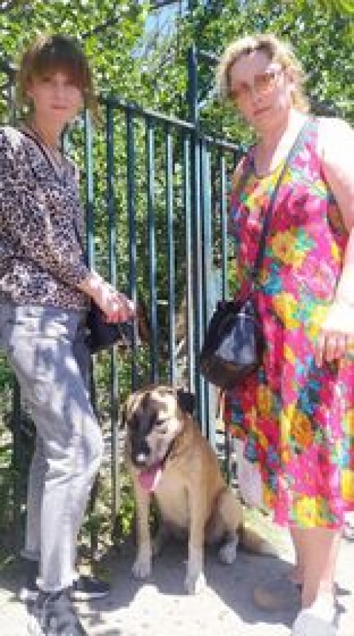 მეტისი დოლიძის 106.