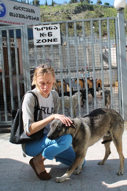 მეტისი უსახელო