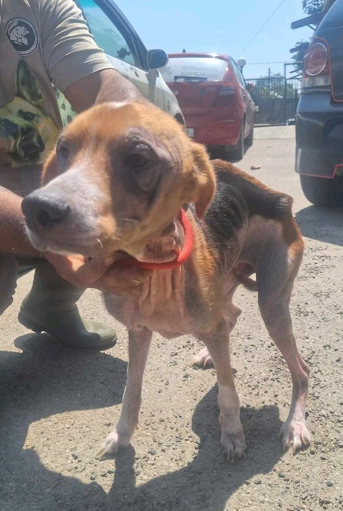 მეტისი. მეტრო ისანი