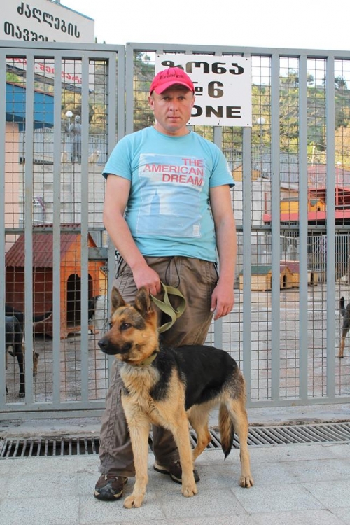 გერმანული ნაგაზი უსახელო