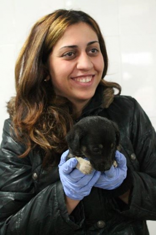 მეტისი უსახელო