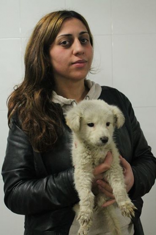 მეტისი უსახელო