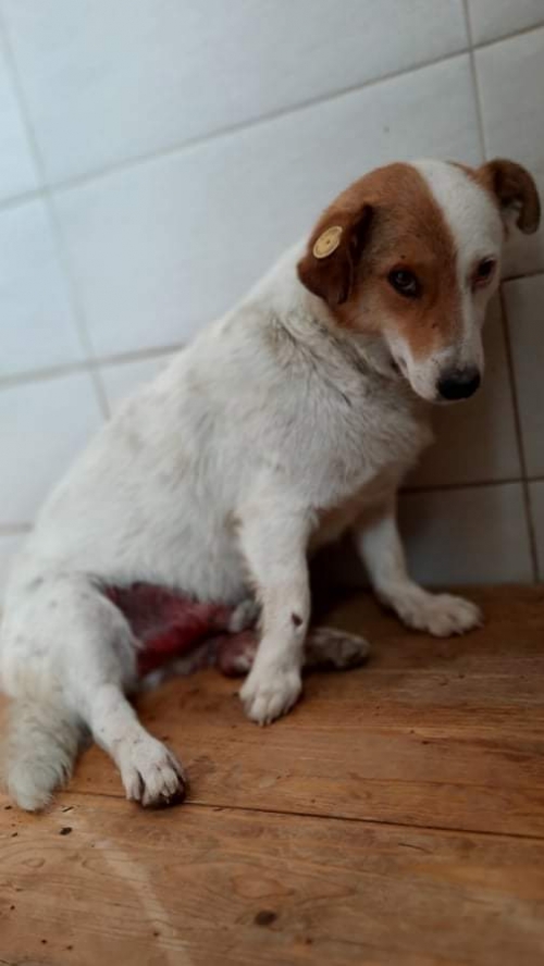 მეტისი კაიროს მე 4 ქუჩა