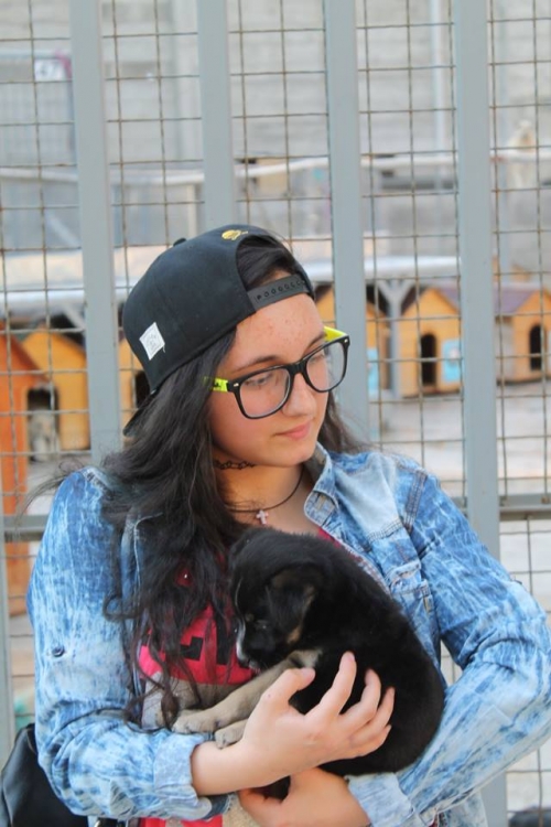 მეტისი უსახელო