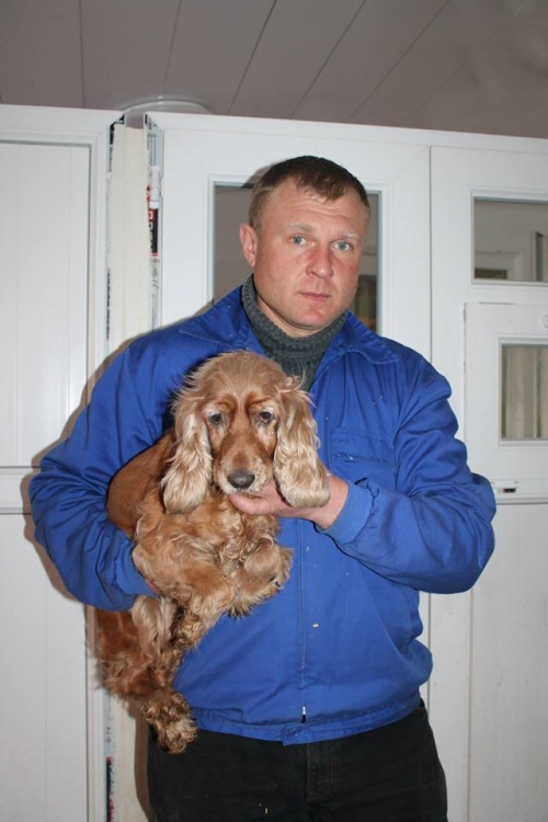 კოკერსპანიელი უსახელო