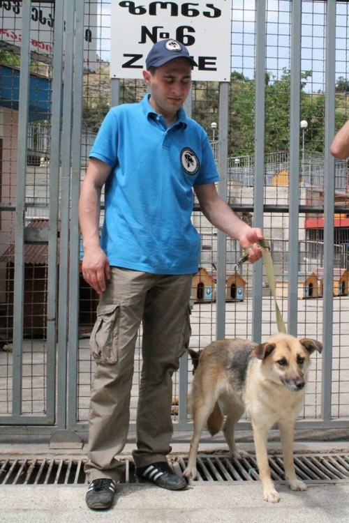 მეტისი უსახელო