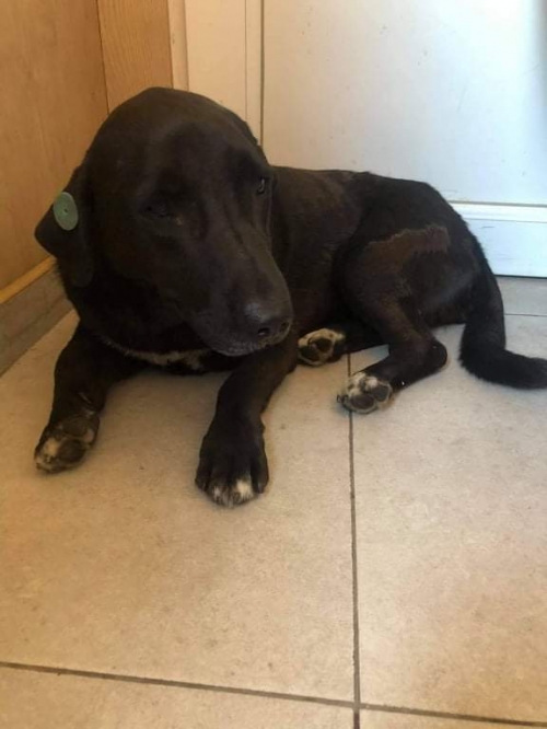 მეტისი რუსთაველი ოპერის ტერიტორია