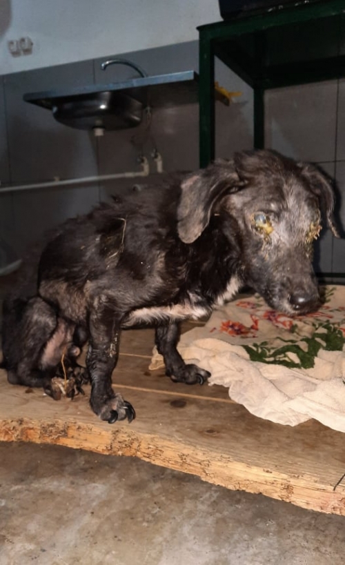 მეტისი კახეთის გზაზე ნაპოვნი