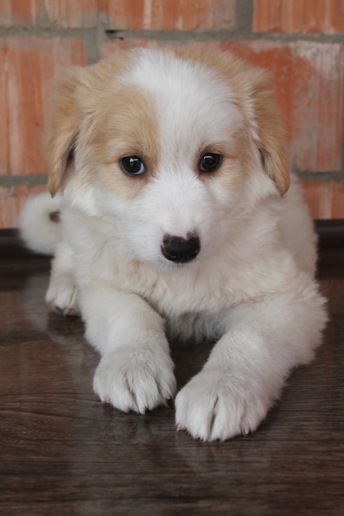 მეტისი უსახელო