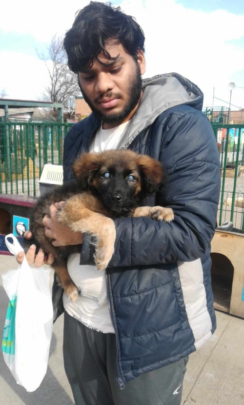 მეტისი ჩააბარა უცხოელმა