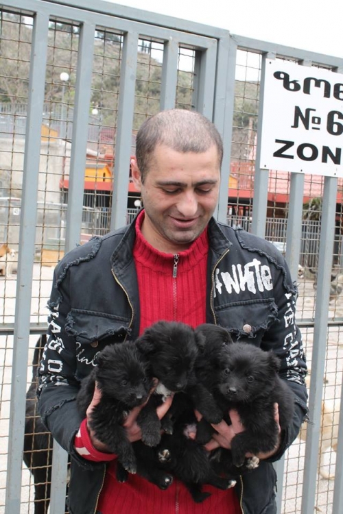 მეტისის ლეკვები უსახელო