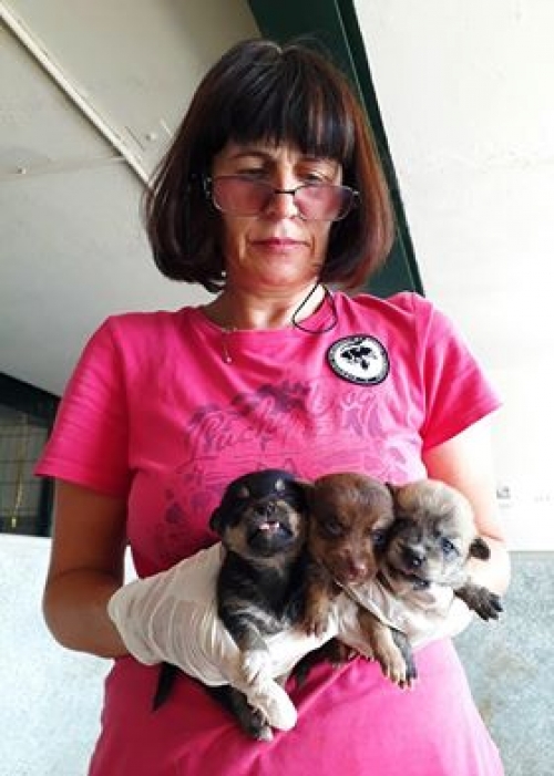 მეტისი უსახელო