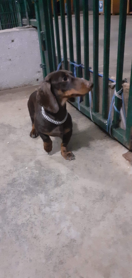 ტაქსა უსახელო