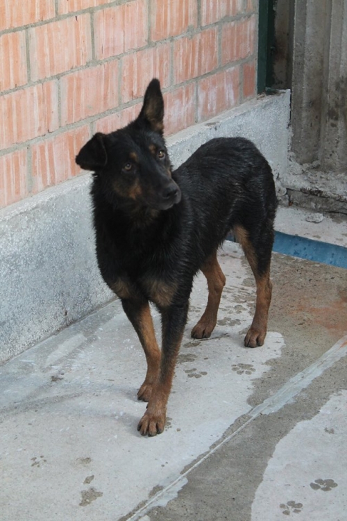 მეტისი უსახელო