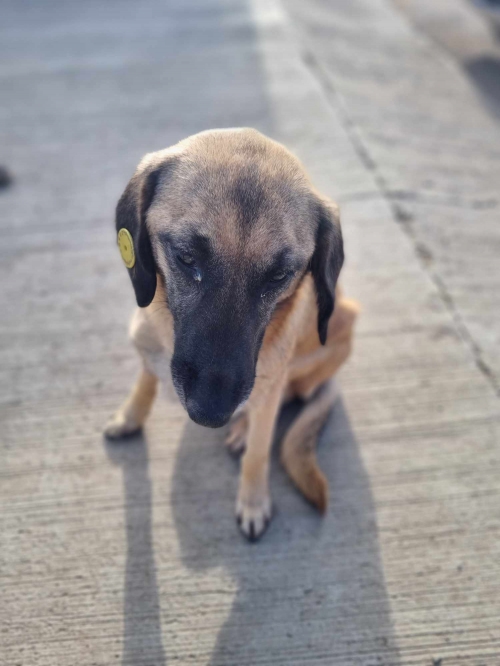 მეტისი ბარნოვის ქუჩა 47