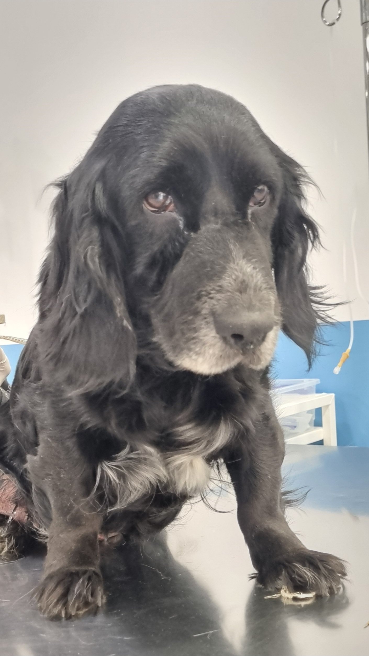 ივერთუბანი