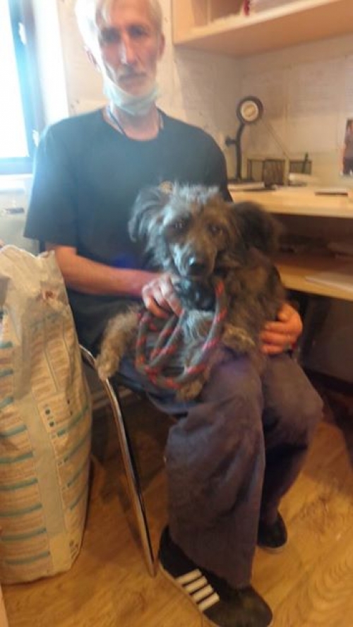 ბალონკა უსახელო