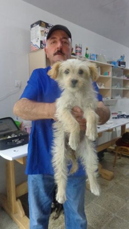 ბალონკა უსახელო