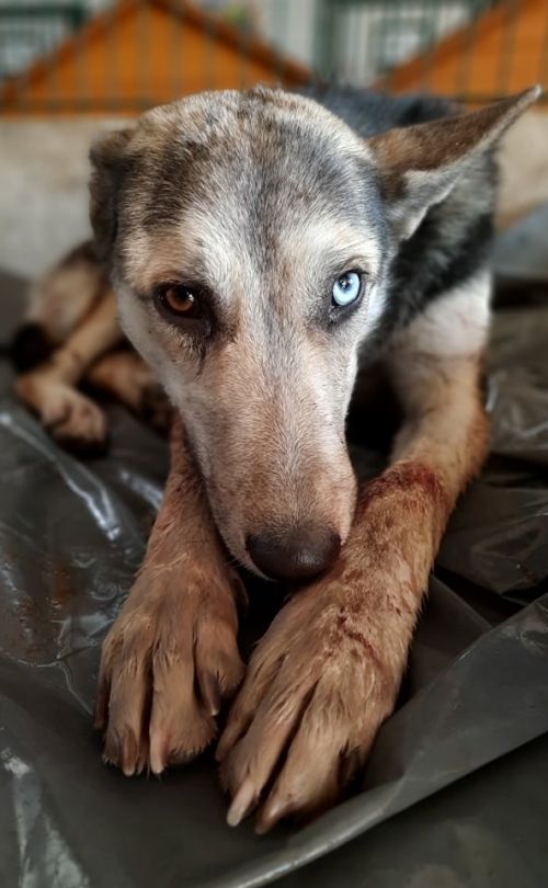 მეტისი ნაპოვნია მცხეთის გზაზე