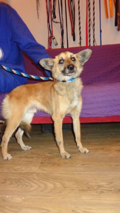 მეტისი უსახელო