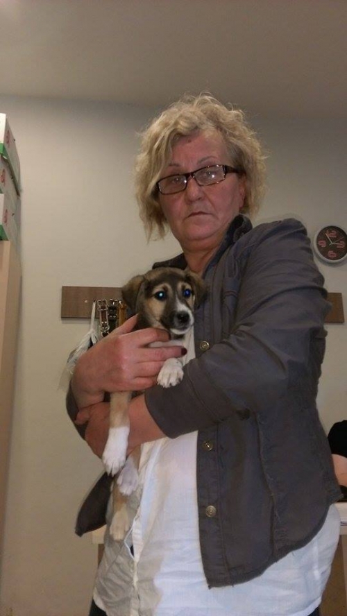 მეტისი უსახელო