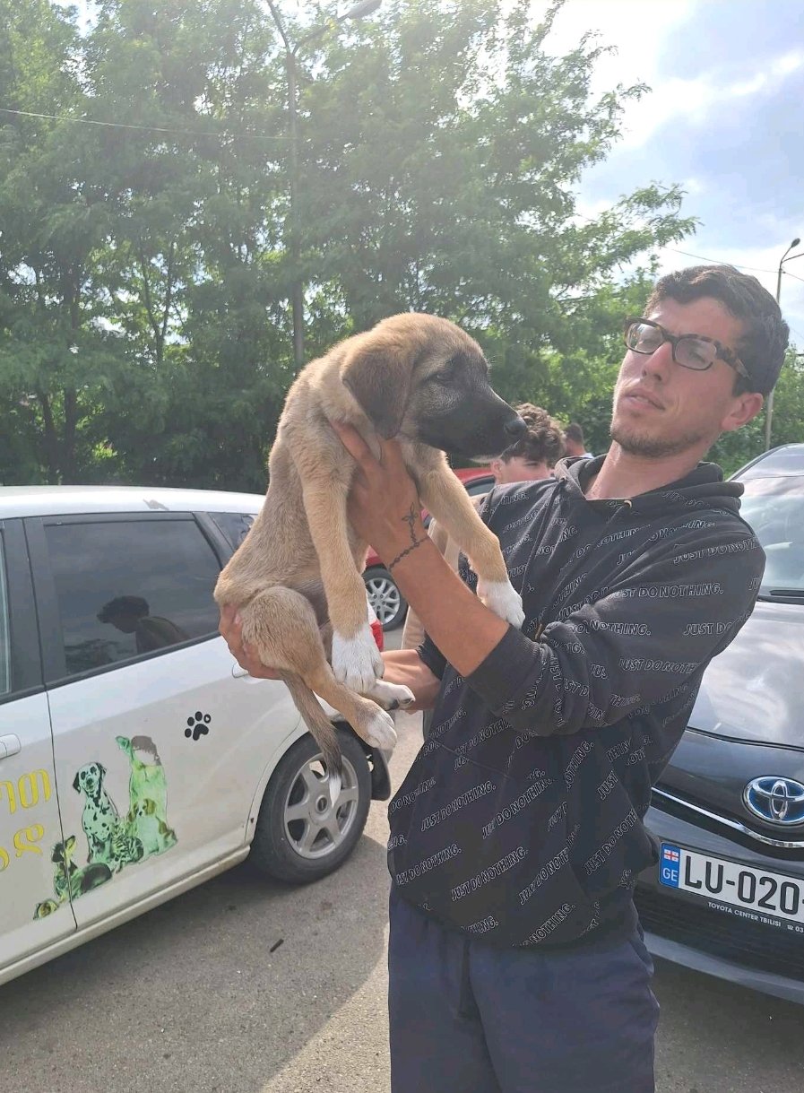 მეტისი. სანაპირო