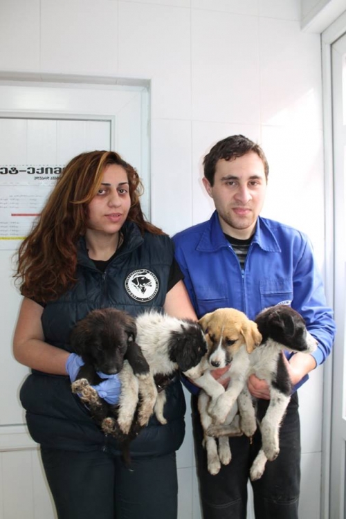 მეტისი უსახელო