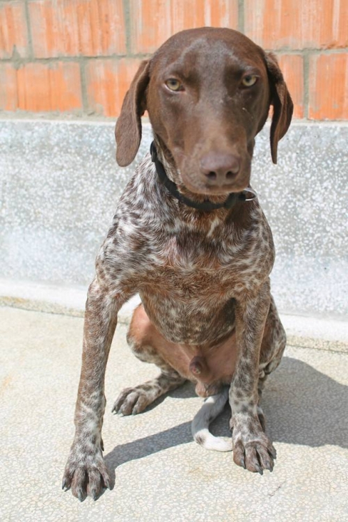 კურცხაარი უსახელო