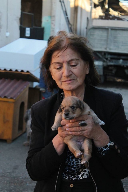 მეტისი უსახელო