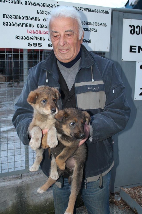 მეტისი უსახელო